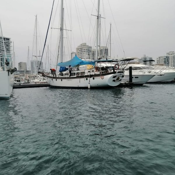Velero  Tortuga | Velero en santa marta